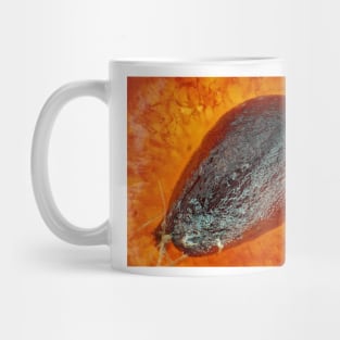 Strawberry "seed" (achene) under the microscope Mug